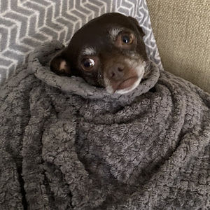 Meet your Posher, Jace